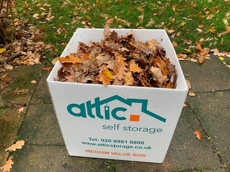 Attic box